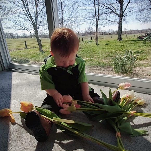 Meet your Posher, Lydia - Picture 6 of 16